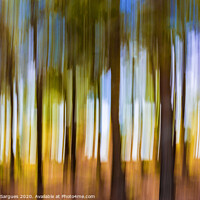 Buy canvas prints of The unreal forest by Vicente Sargues