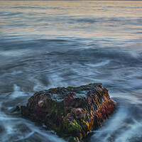 Buy canvas prints of The mossy rock by Vicente Sargues