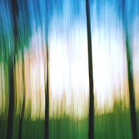 Buy canvas prints of Abstract woodland by Vicente Sargues