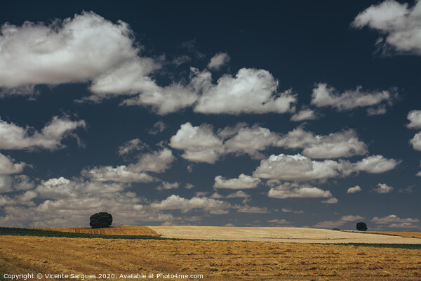 Cereal fields and cloudscape Picture Board by Vicente Sargues