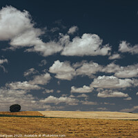 Buy canvas prints of Cereal fields and cloudscape by Vicente Sargues