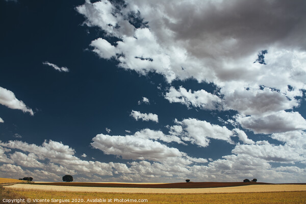 Cloudscape on fields Picture Board by Vicente Sargues