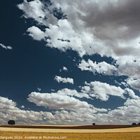 Buy canvas prints of Cloudscape on fields by Vicente Sargues