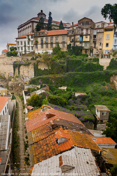 Roofs and houses in Porto Picture Board by Vicente Sargues