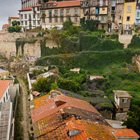 Buy canvas prints of Roofs and houses in Porto by Vicente Sargues