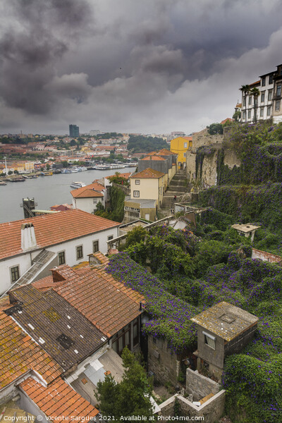 Roofs of old houses in Porto Picture Board by Vicente Sargues