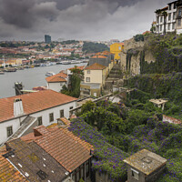 Buy canvas prints of Roofs of old houses in Porto by Vicente Sargues
