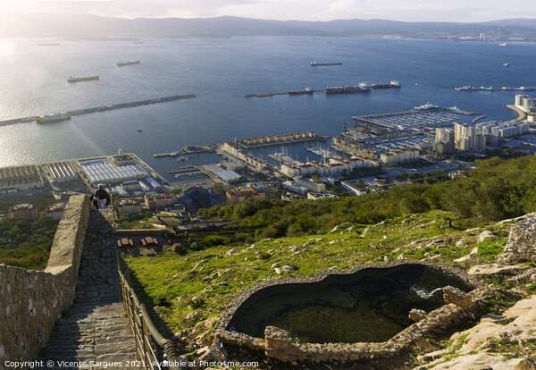 Gibraltar port from the rock Picture Board by Vicente Sargues