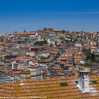 Buy canvas prints of Roofs and Porto by Vicente Sargues