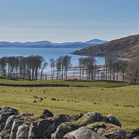 Buy canvas prints of A view to Applecross by mary spiteri