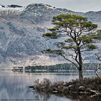 Buy canvas prints of Magical Loch Maree by mary spiteri