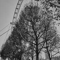 Buy canvas prints of London Eye  by mary spiteri
