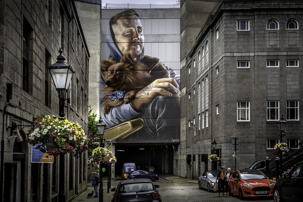 Majestic Mural in Aberdeen Picture Board by Don Nealon