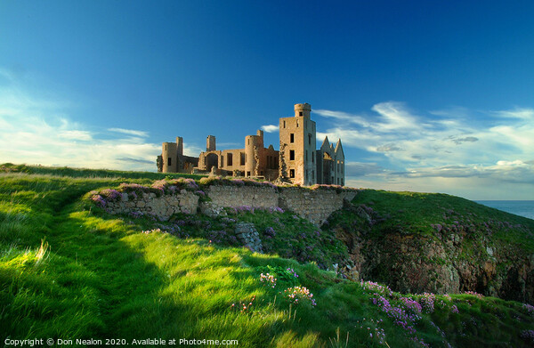 Majestic Ruins of Slains Castle Picture Board by Don Nealon