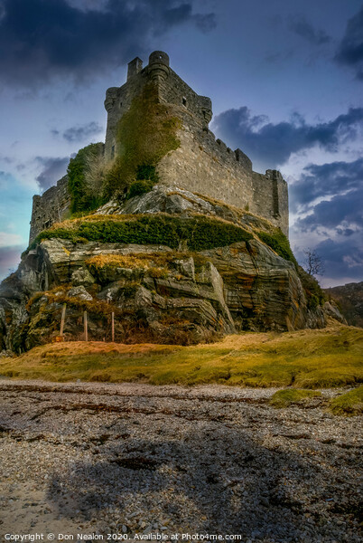 Majestic Castle Tioram Picture Board by Don Nealon