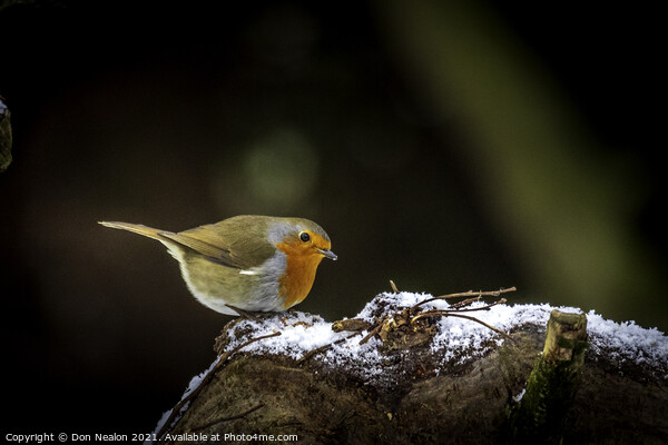 The Brave Little Robin Picture Board by Don Nealon