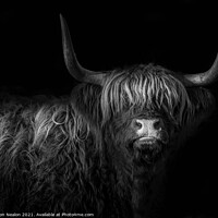Buy canvas prints of Highland fringe by Don Nealon