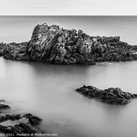 Buy canvas prints of Seagull island monochrome by Don Nealon