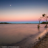 Buy canvas prints of Maroochy Evening by Pete Evans