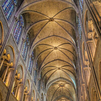 Buy canvas prints of Inside Notre Dame by Pete Evans