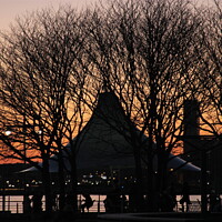 Buy canvas prints of NYC pier sunset through the trees by Yulia Vinnitsky