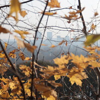 Buy canvas prints of Autumn view 3 by Yulia Vinnitsky