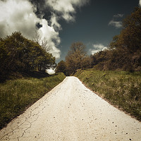 Buy canvas prints of Nice road on the forest by Arpad Radoczy