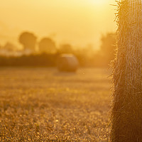 Buy canvas prints of Straw bales in the light of sunset by Arpad Radoczy