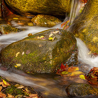 Buy canvas prints of Small stream detail, colored stones by Arpad Radoczy