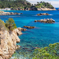 Buy canvas prints of Costa brava landscape picture from a Spain by Arpad Radoczy
