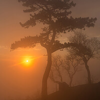 Buy canvas prints of Beautiful sunset light in a foggy day by Arpad Radoczy