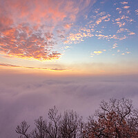 Buy canvas prints of Fluffy clouds over the forest by Arpad Radoczy