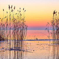 Buy canvas prints of Winter sunset over the lake Balaton of Hungary by Arpad Radoczy