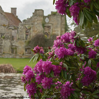 Buy canvas prints of Flowers at Scotney Castle  by Jadwiga Piasecka