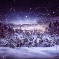 Buy canvas prints of Frosty Night - Finnish Lapland by Jadwiga Piasecka