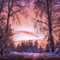 Buy canvas prints of Beautiful Sunset in snowy Finland  by Jadwiga Piasecka