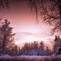 Buy canvas prints of Beautiful sunset in Lapland by Jadwiga Piasecka