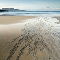 Buy canvas prints of Harris beach feathers by Chris Lauder