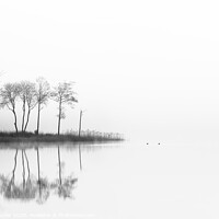 Buy canvas prints of Loch Ard trees by Chris Lauder