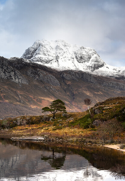 Slioch, Scots pine and Birch Picture Board by Chris Lauder