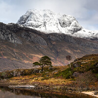 Buy canvas prints of Slioch, Scots pine and Birch by Chris Lauder