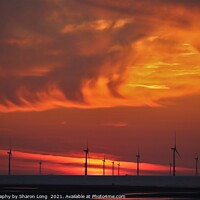 Buy canvas prints of Flames in a  New Brighton Sky by Photography by Sharon Long 