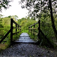 Buy canvas prints of The Ladybridge in Dibbinsdale Nature Reserve  by Photography by Sharon Long 