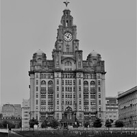 Buy canvas prints of Royal Liver Building by Photography by Sharon Long 
