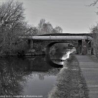 Buy canvas prints of Walks along the Shropshire Union Canal by Photography by Sharon Long 