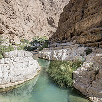 Buy canvas prints of River of Wadi shab, Oman by David GABIS