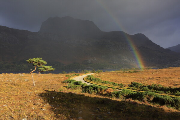Rainbow over Slioch from Loch Maree in Scotland Picture Board by MIKE HUTTON