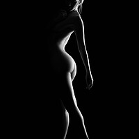 Buy canvas prints of nude standing bodyscape of sensual fine art woman  by Alessandro Della Torre