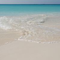 Buy canvas prints of A beach next to the ocean on the shores of cuba by Alessandro Della Torre