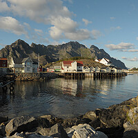 Buy canvas prints of Lofoten island in front of water with a mountain in the background by Alessandro Della Torre